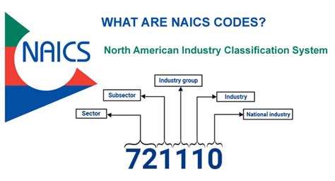 usaa naic number|how to find my naics code.